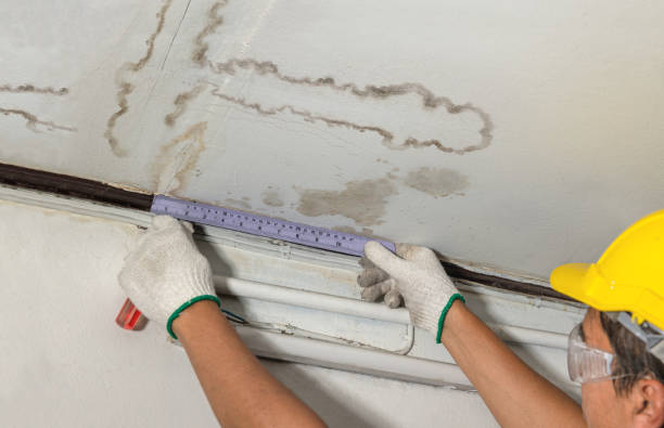 Reliable Water Damage contractor in Oakley, UT by Water Damage Irwin
